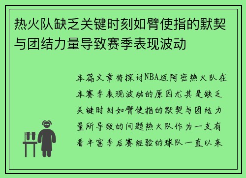 热火队缺乏关键时刻如臂使指的默契与团结力量导致赛季表现波动