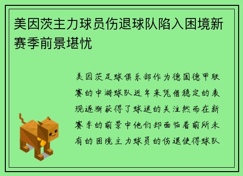 美因茨主力球员伤退球队陷入困境新赛季前景堪忧